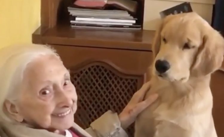 はじめまして 子犬を見て嬉しそうな100歳のおばあちゃん いぬのこと 犬がもっと好きになる動画紹介サイト
