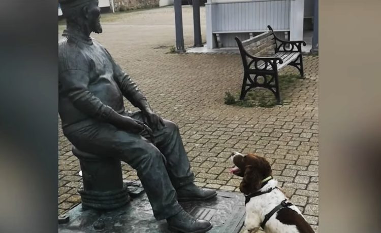 犬 おじさんボール投げて 銅像を人間だと思って待ち続けるワンコ いぬのこと 犬がもっと好きになる動画紹介サイト