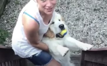 ワガママ いぬのこと 犬がもっと好きになる動画紹介サイト