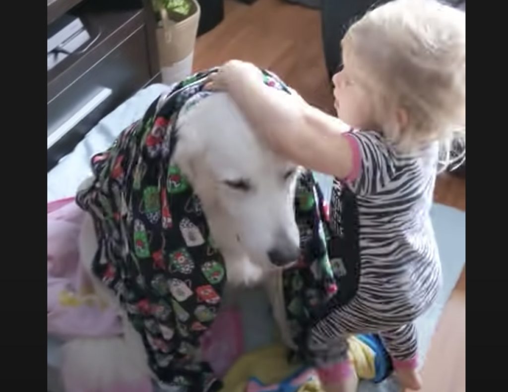 「裸なのに寒くない？」愛犬に毛布をあげる女の子。優しさで暖かくなるー！