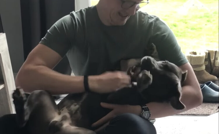 飼い主さんにくすぐられるのが大好き 笑い声が楽しそうな犬さん いぬのこと 犬がもっと好きになる動画紹介サイト 飼い主さんにくすぐられるのが大好き 笑い声が楽しそうな犬さん いぬのこと 犬がもっと好きになる動画紹介サイト