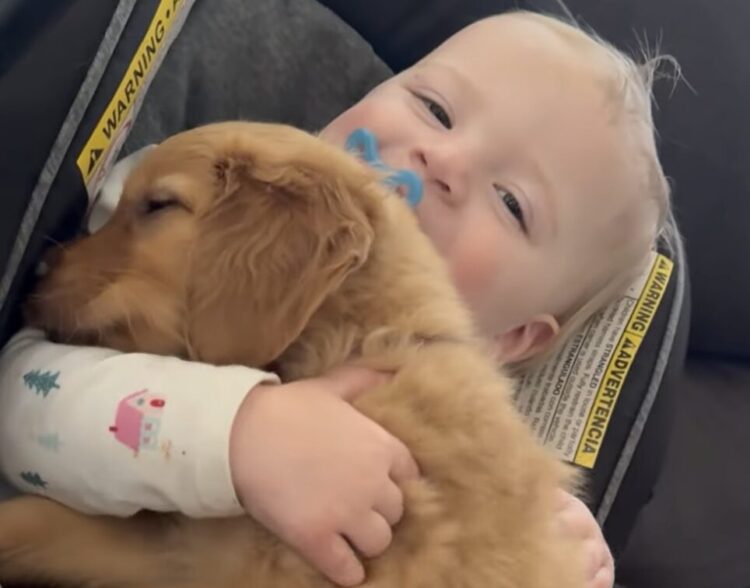 小さなおててに包まれて幸せそう！ 子犬さんと仲良しな赤ちゃん