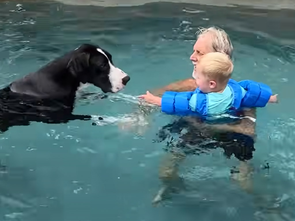 プールデビューの赤ちゃんが心配でたまらない優しい犬さん。