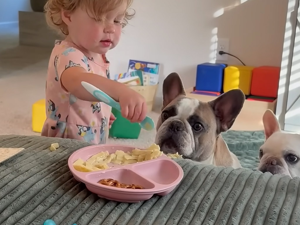 ごはんタイムはみんな一緒に！ スプーンで「はいどうぞ」と愛犬たちにもシェア！