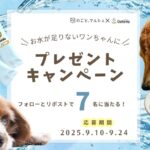 いぬのこと。キャンペーン