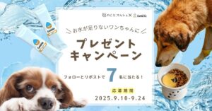 いぬのこと。キャンペーン