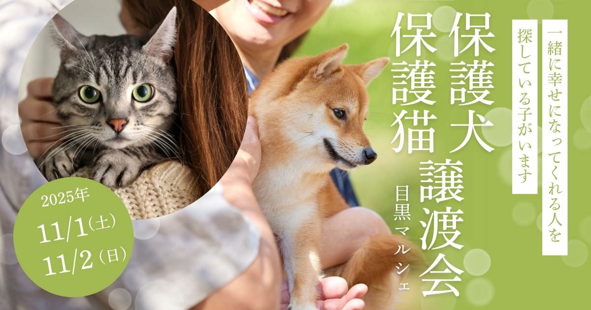 11/1・11/2】目黒マルシェで保護犬猫の譲渡会「N.I.meeting」も開催 