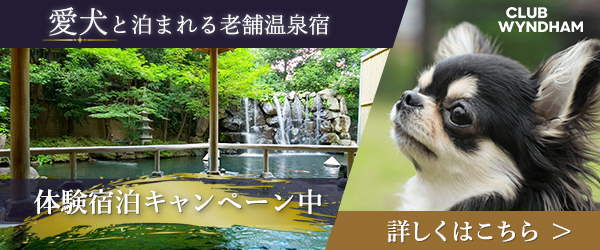 クラブウィンダムの体験宿泊キャンペーン