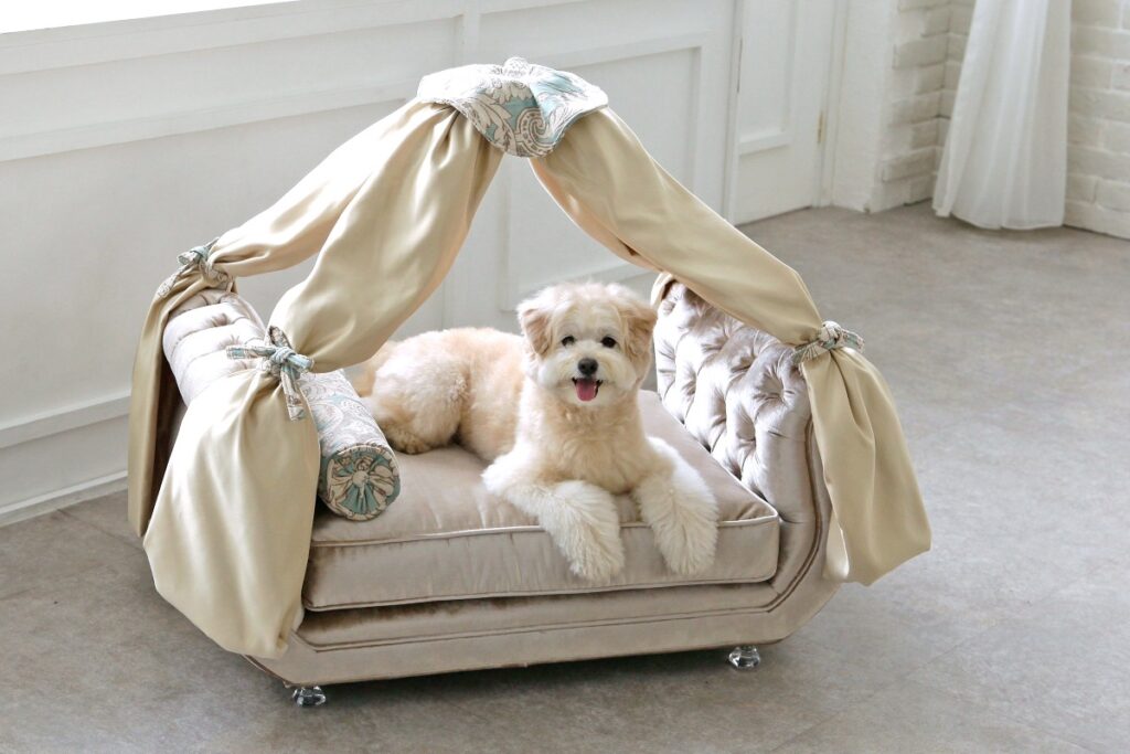 オートクチュールペットソファ8「Harmonier Canopy/ハルモニアキャノピー」