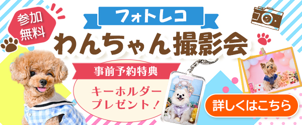 【参加無料】プロ撮影で愛犬の“最高の一枚”を。全国で開催中のフォトレコペット撮影会