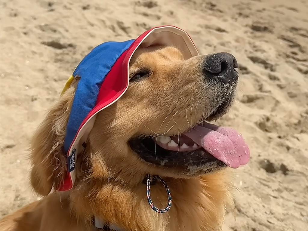 【潮風が心地いい】帽子をかぶって大好きな海へ! ワクワクが止まらないゴールデン