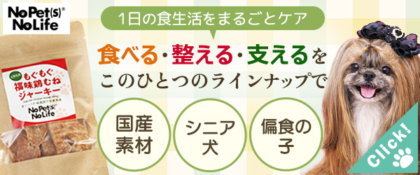 インターペット大阪に出展！車づくりの技術を“おやつ”に。愛犬に寄り添う「No Pet(S) No Life」