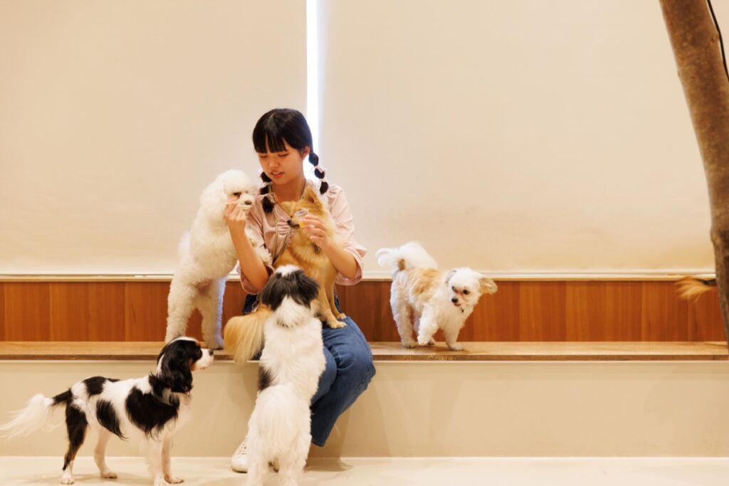 (参考)Moff animal cafe ららぽーと立川立飛店