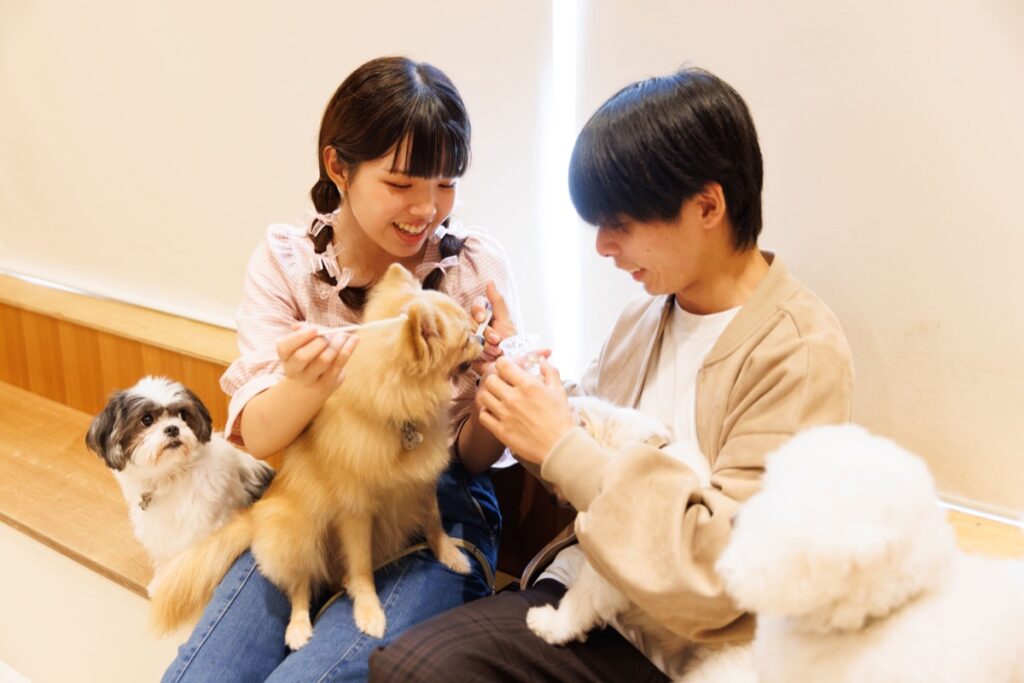 (参考)Moff animal cafe ららぽーと立川立飛店