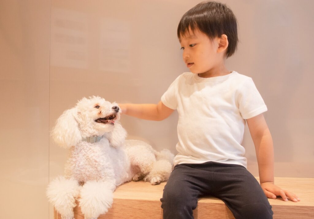 (参考)Moff animal cafe ららぽーと立川立飛店